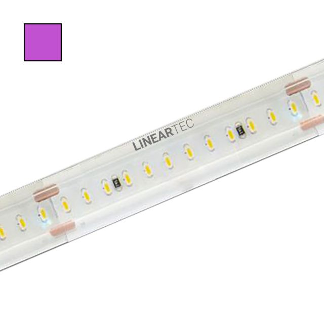 LED-Flexmodul 12 Pro48 85, 48V, IP68, 8W/m, pink, 5m